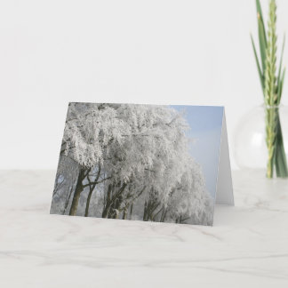 Christmas time holiday card