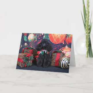 Christmas - Toby - Poodle Holiday Card