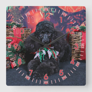Christmas - Toby - Poodle Square Wall Clock
