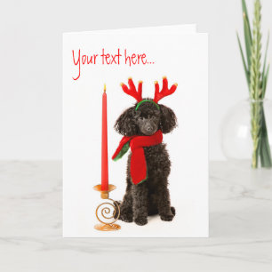 Christmas Toy Poodle Dog Holiday Card