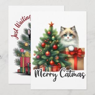 Christmas Tree And Cat 2025  Holiday Card