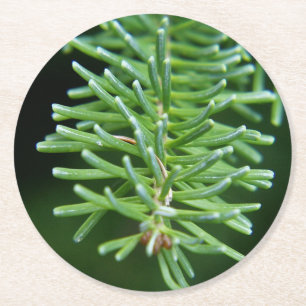 Christmas Tree Branch Round Paper Coaster