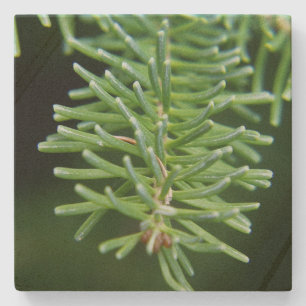 Christmas Tree Branch Stone Coaster