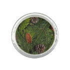 Christmas Tree Branches