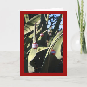 Christmas tree cactus holiday card