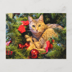 christmas tree cat postcard