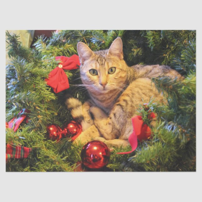 christmas tree cat tissue paper (Front)