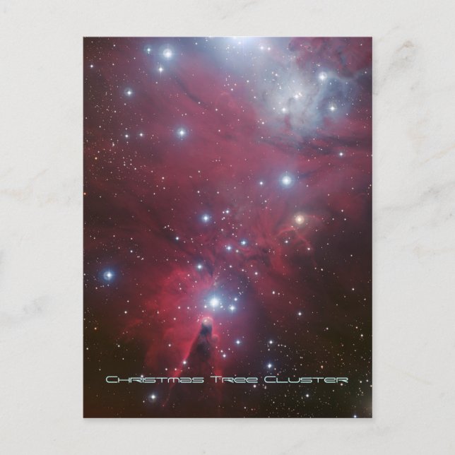 Christmas Tree Cluster and Cone Nebula, NGC 2264 Holiday Postcard (Front)