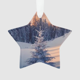 Christmas tree decoration, stars ornament