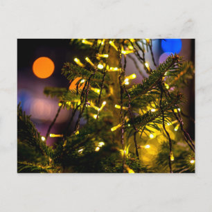 Christmas Tree, Decorative Lights Postcard