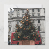 Christmas Tree in St. James's Square, London UK