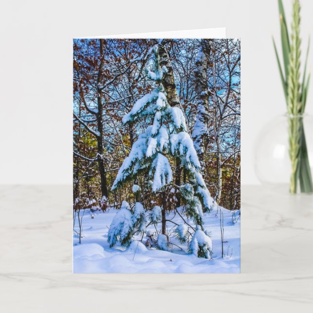 Christmas Tree in the Forest Holiday Card (Front)