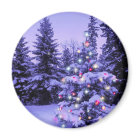 Christmas Tree in the Forest