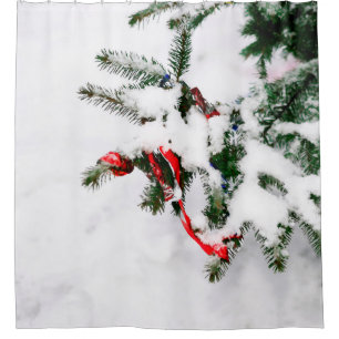 Christmas Tree In Winter