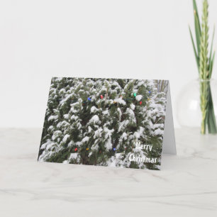 Christmas Tree Let It Snow Holiday Card