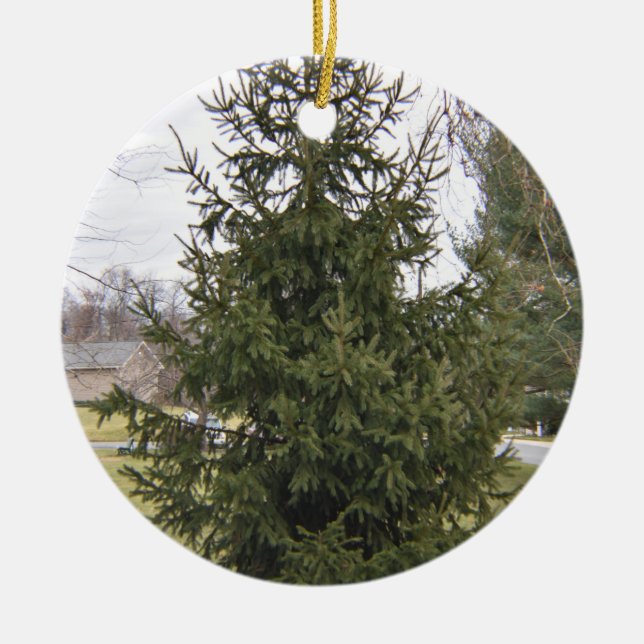 Christmas Tree Ornament (Front)
