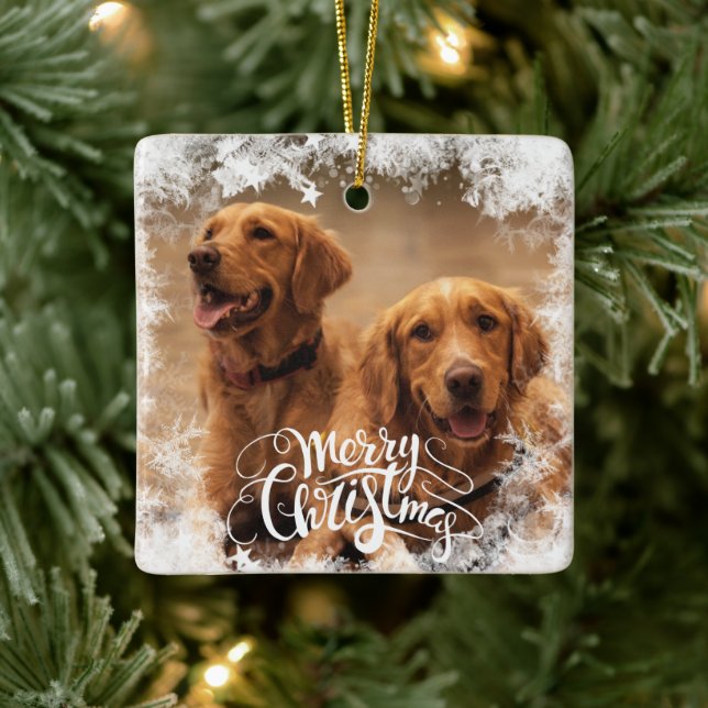 Christmas Tree Ornament Frozen Photo (Tree)