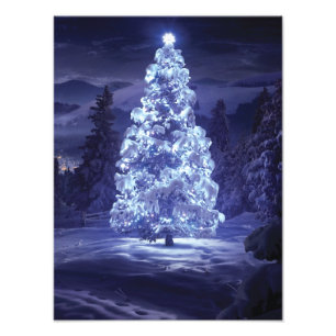Christmas Tree  Photo Print