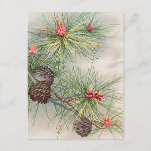 Christmas Tree Pines and Flower Painting Holiday Postcard