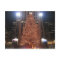 Christmas Tree Rockefeller Centre