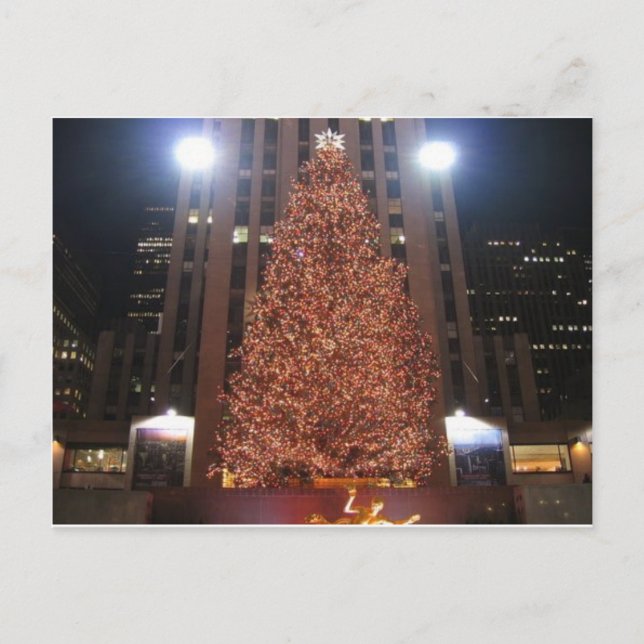 Christmas Tree Rockefeller Centre Holiday Postcard (Front)
