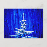 Christmas Tree, Snow, Magic Night Postcard