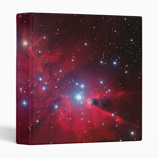 Christmas Tree Star Cluster Binder (Front/Spine)