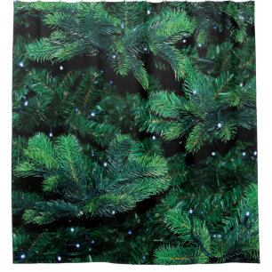 Christmas tree twigs sapling pine