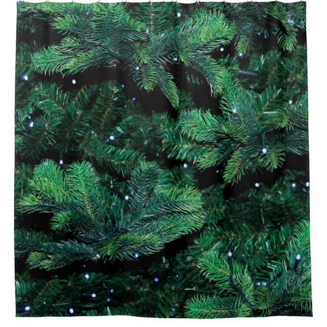 Christmas tree twigs sapling pine (Front)