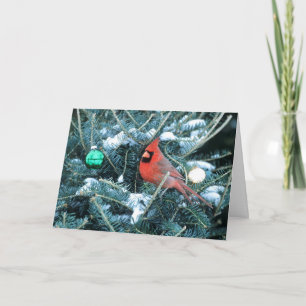 Christmas Tree with Male Cardinal Holiday Card