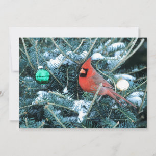 Christmas Tree with Male Cardinal Holiday Card
