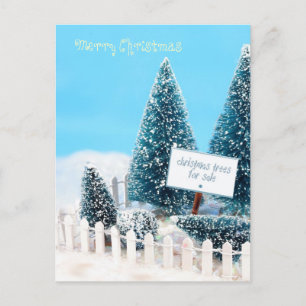 Christmas trees for sale with sign holiday postcard