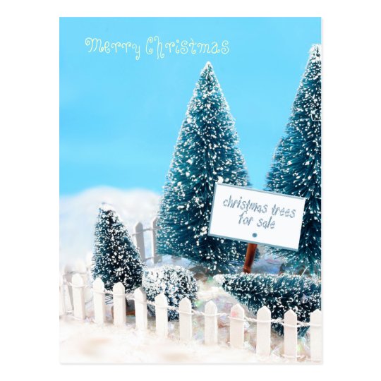 Christmas trees for sale with sign postcard