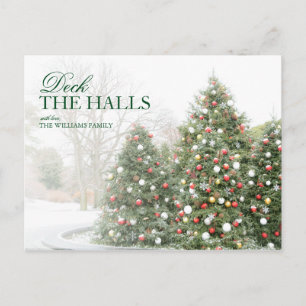 Christmas Trees in a Snowy Botanical Garden Holiday Postcard