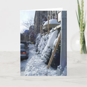 Christmas Trees NYC New York Snow Tree Xmas Photo Holiday Card
