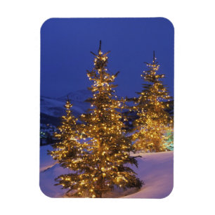 Christmas trees, Park City, Wastch Mountains, 2 Magnet