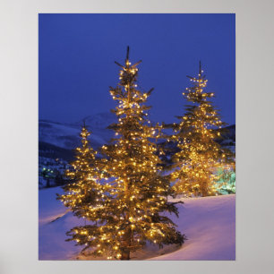 Christmas trees, Park City, Wastch Mountains, 2 Poster
