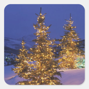 Christmas trees, Park City, Wastch Mountains, 2 Square Sticker