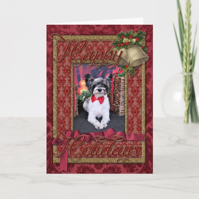 Christmas - Tucker - Yorkie X Holiday Card (Front)