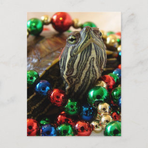 Christmas Turtle Holiday Card