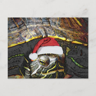 Christmas Turtle Holiday Postcard