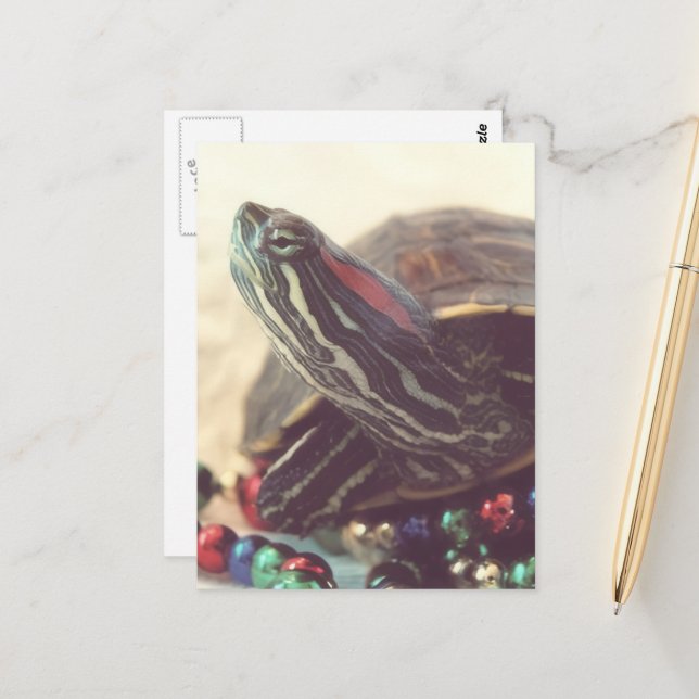 Christmas Turtle Postcard (Front/Back In Situ)