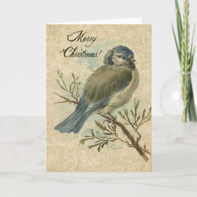 Christmas, Vintage Bluetit Holiday Card (Front)