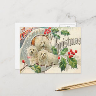 Christmas Vintage  dogs Holiday Postcard