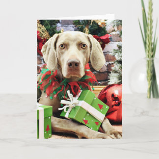 Christmas - Weimaraner - Lucy Holiday Card