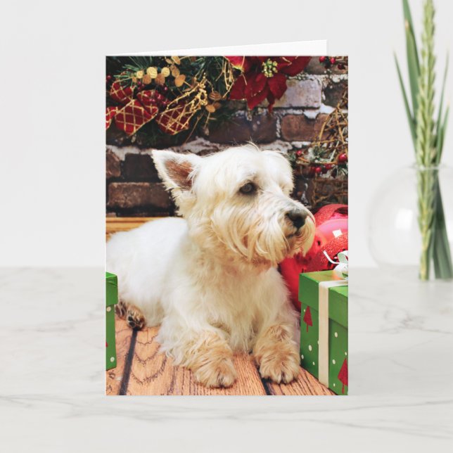 Christmas - Westie - Callie Holiday Card (Front)