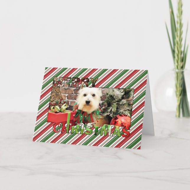 Christmas - Westie - Sammy Holiday Card (Front)