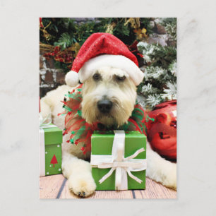 Christmas - Wheaten Terrier - Bailey Holiday Postcard