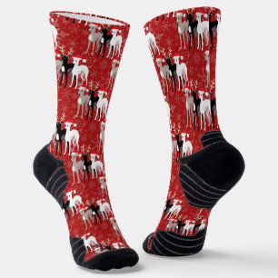 Christmas Whippets or Italian Greyhounds Socks
