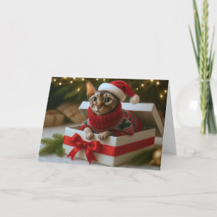 Christmas Whiskers & Wrinkles Card